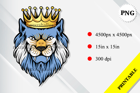 Download Argentina Lion King Flag - Lion king Collection